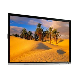 Digital Displays