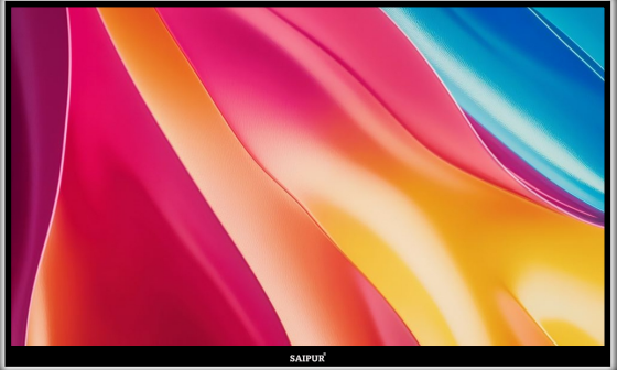 PROFESSIONAL DISPLAY 24”