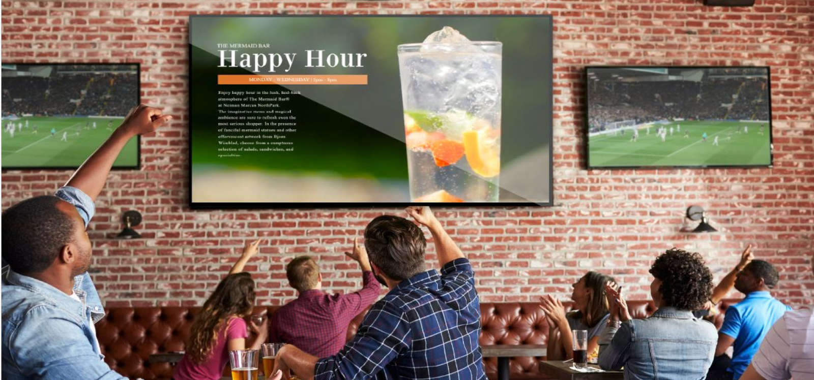 professional-display-65-application